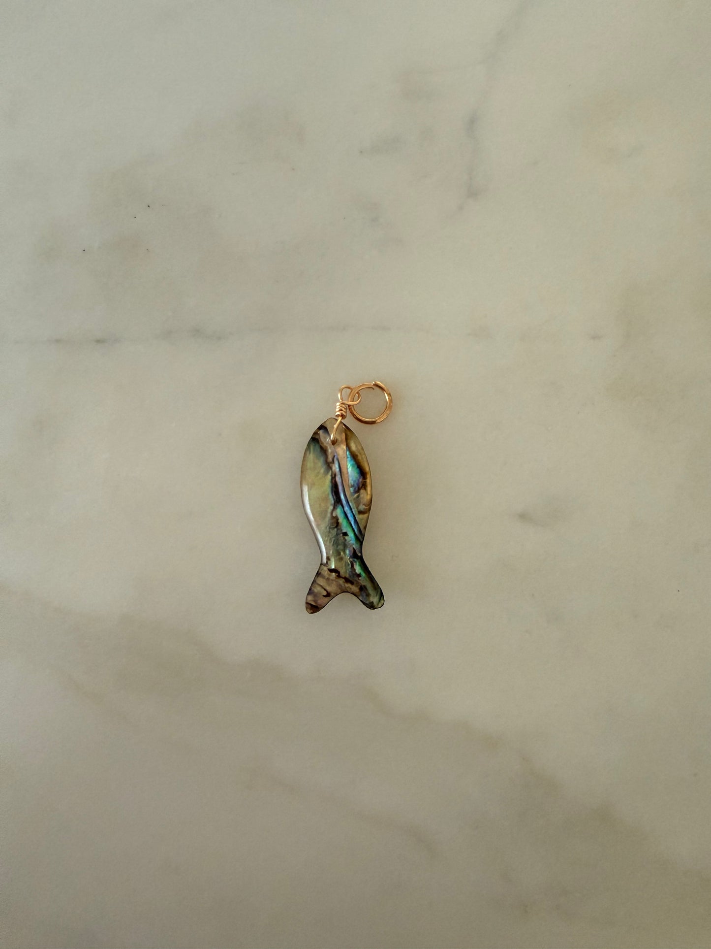 Multicolor Fish Charm