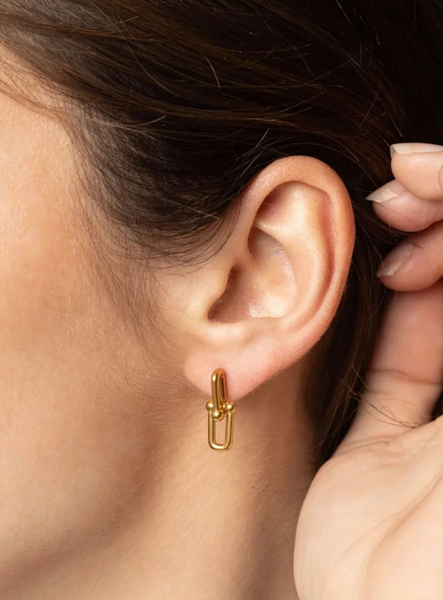 The Chain Earrings